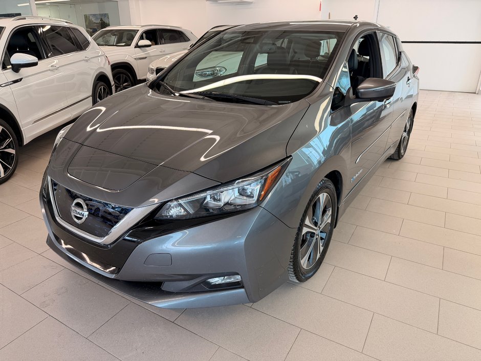 2019 Nissan LEAF SL-6