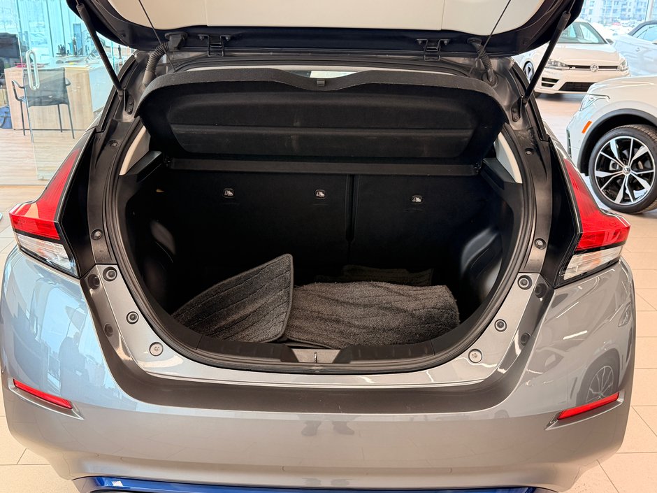 2019 Nissan LEAF SL-8