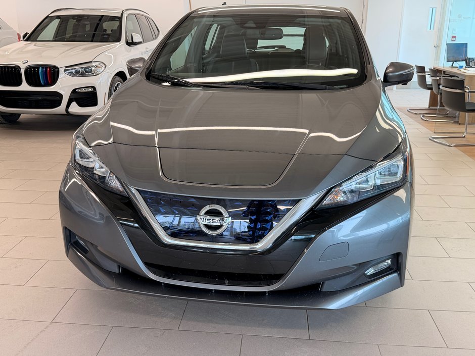 2019 Nissan LEAF SL-1