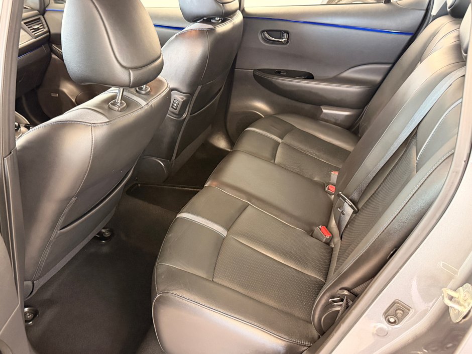 2019 Nissan LEAF SL-9