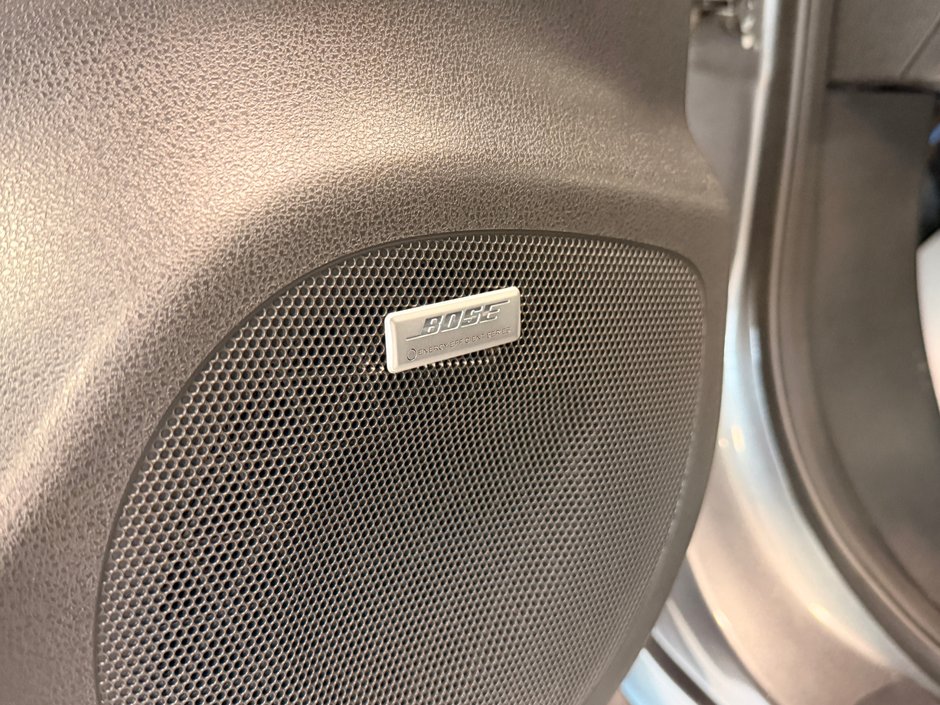 2019 Nissan LEAF SL-13