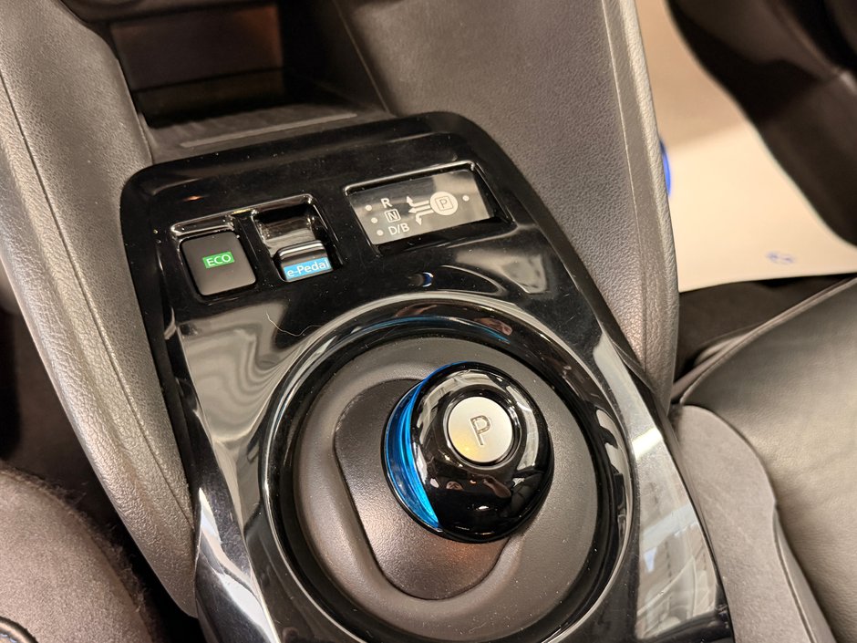 2019 Nissan LEAF SL-21