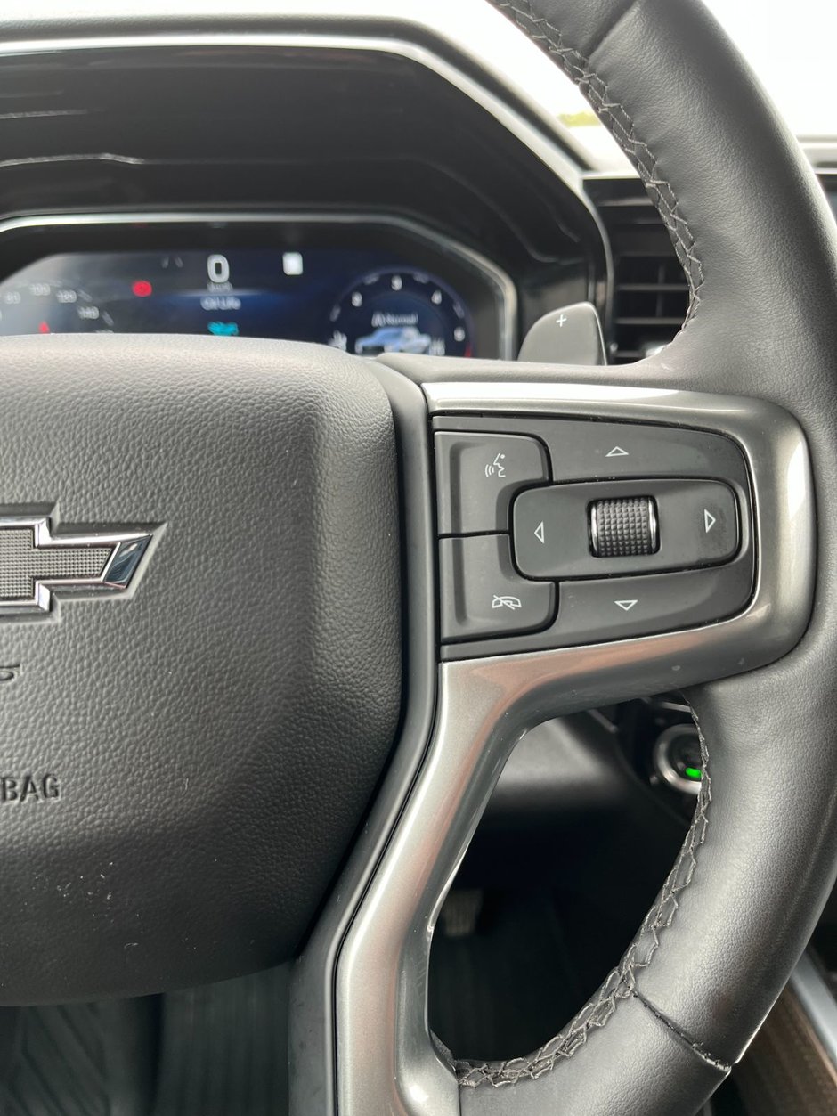 2023 Chevrolet Silverado 1500 4WD Crew Cab 147 WB LT Trail Boss-24