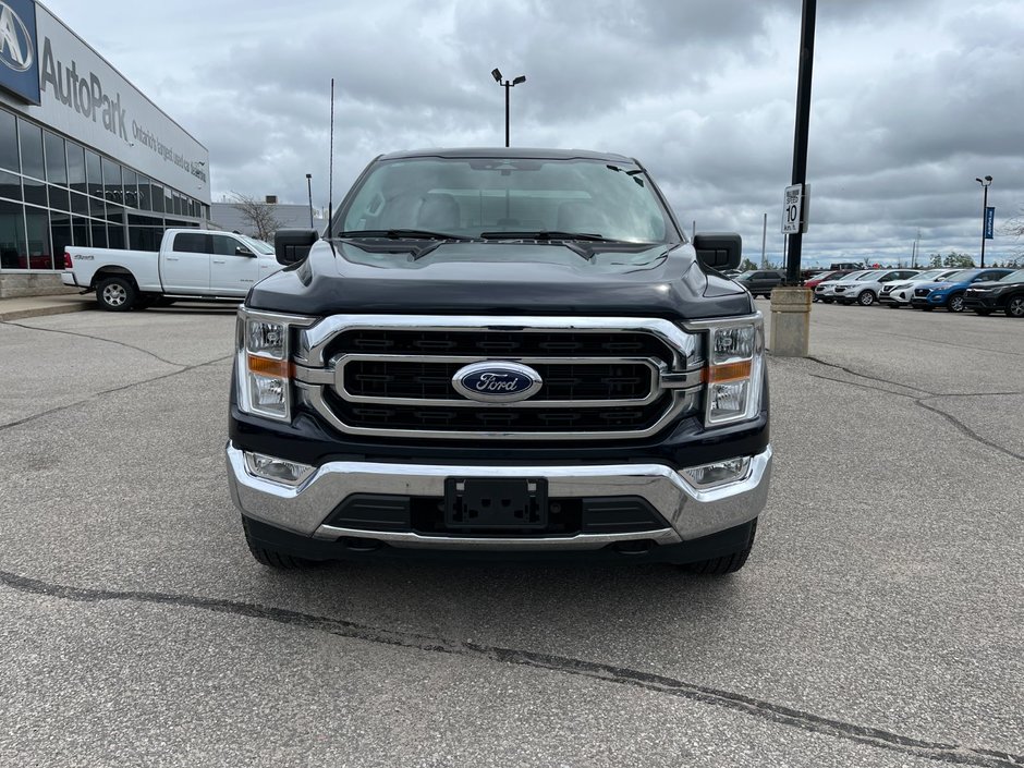 2023 Ford F-150 XLT 4WD Super Crew 5'5 Box-1