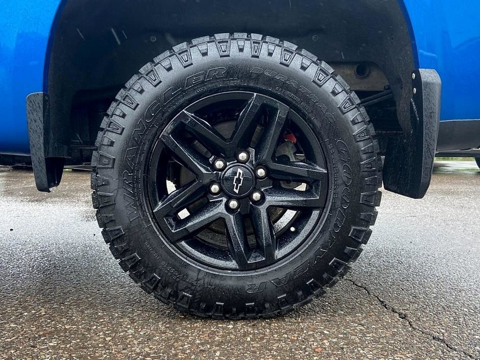 2023 Chevrolet Silverado 1500 Custom Trail Boss-10