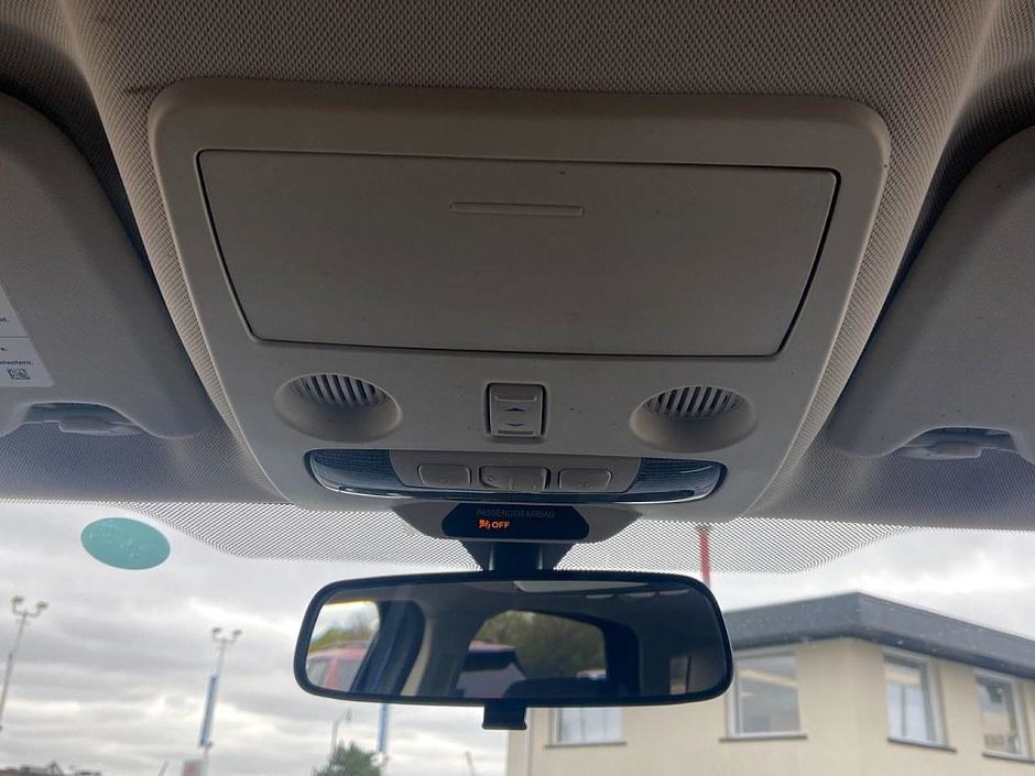 2018 Ford EcoSport SE-19