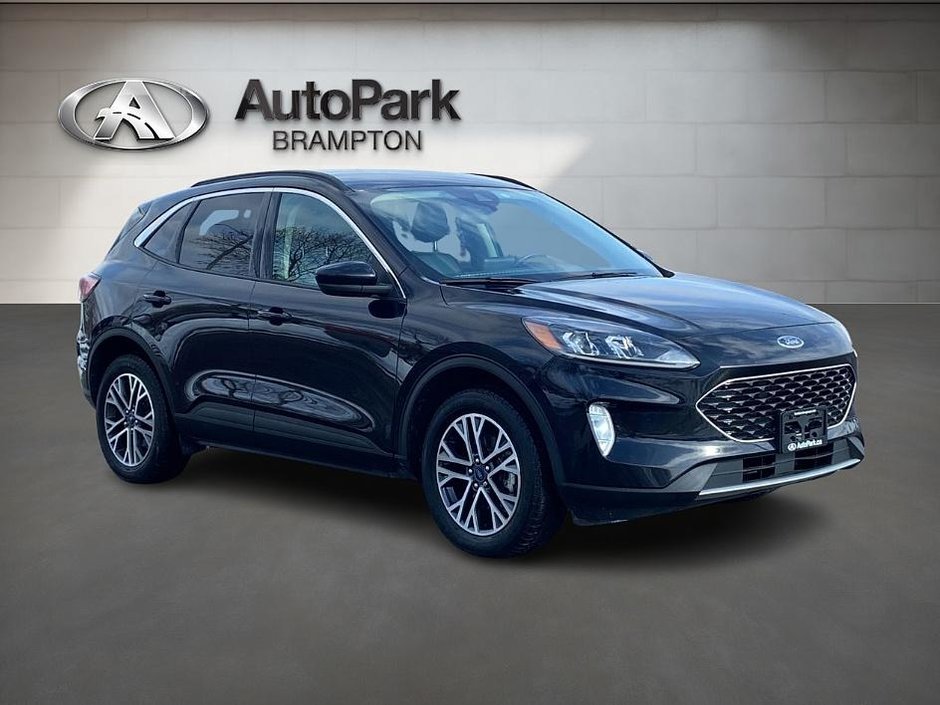 2020 Ford Escape SEL-2