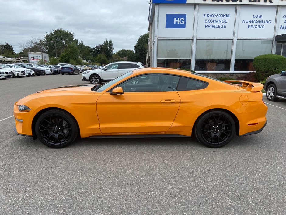 2019 Ford Mustang Ecoboost Premium-7