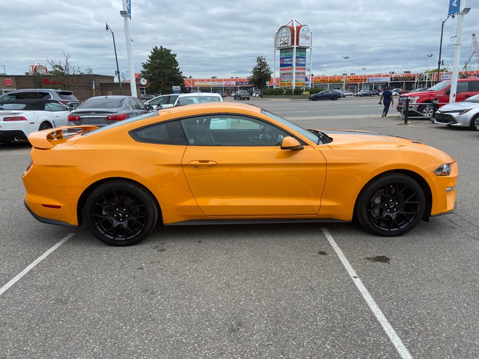 2019 Ford Mustang Ecoboost Premium-3