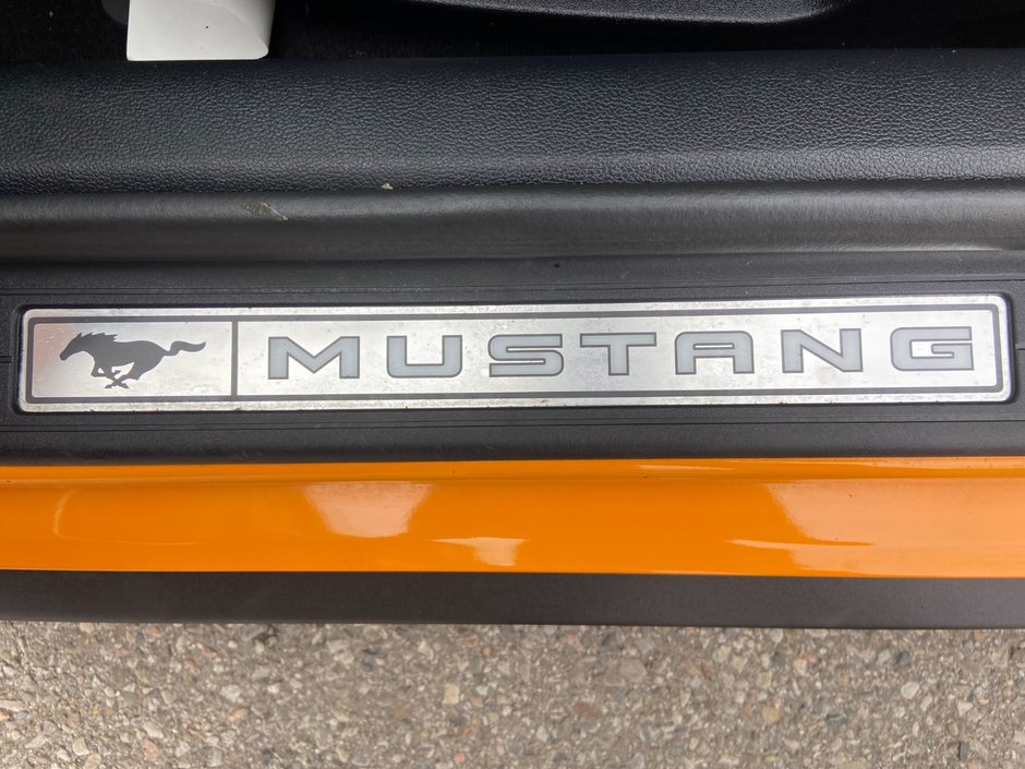 2019 Ford Mustang Ecoboost Premium-11