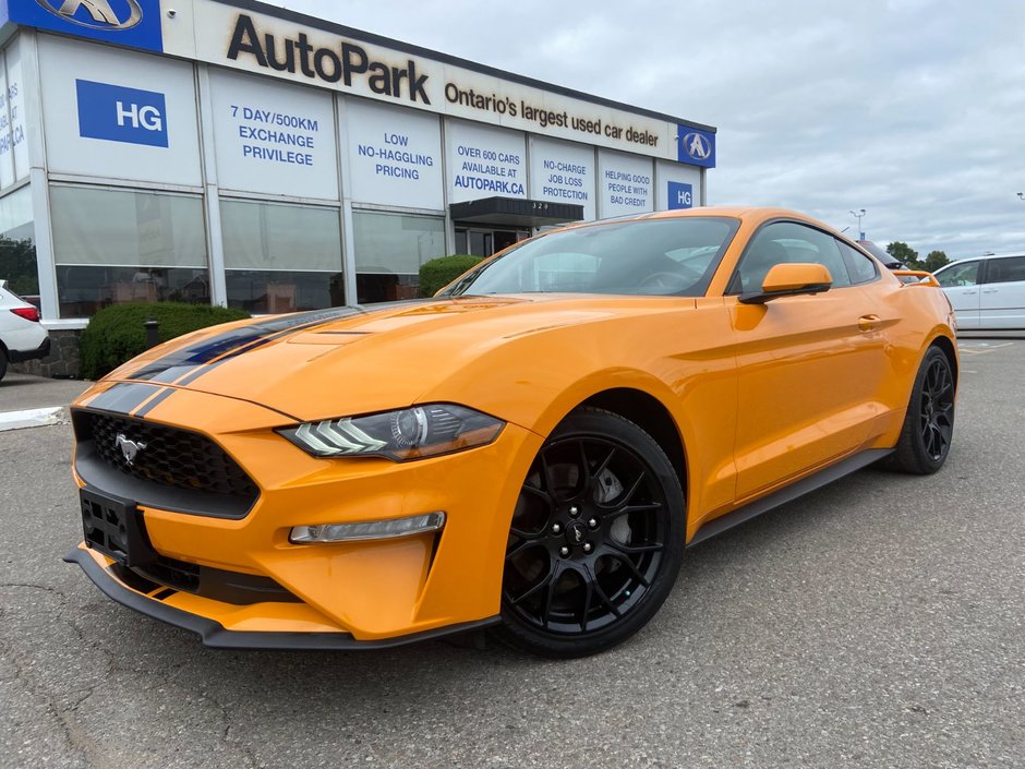 2019 Ford Mustang Ecoboost Premium-0