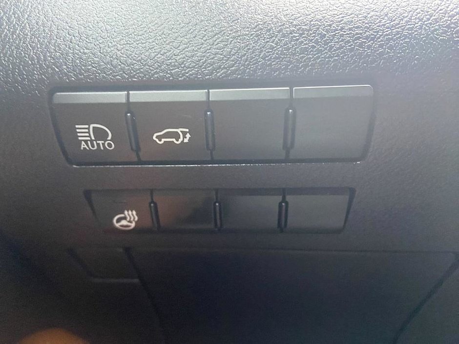 2022 Lexus RX 350-12