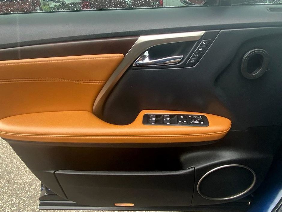 2022 Lexus RX 350-10