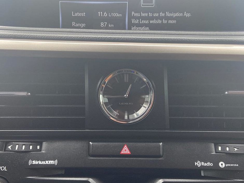 2022 Lexus RX 350-19