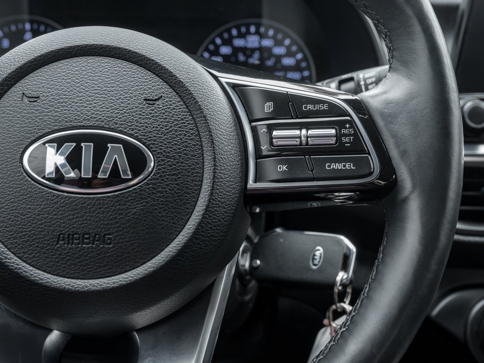 2019 Kia Forte EX-10
