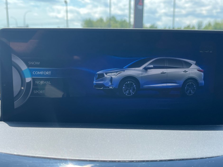 2023 Acura RDX Platinum Elite A-Spec-21