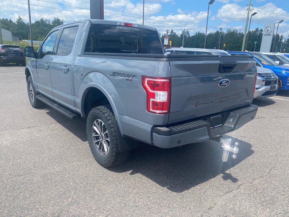 Ford F-150 XLT 4X4 2019-5