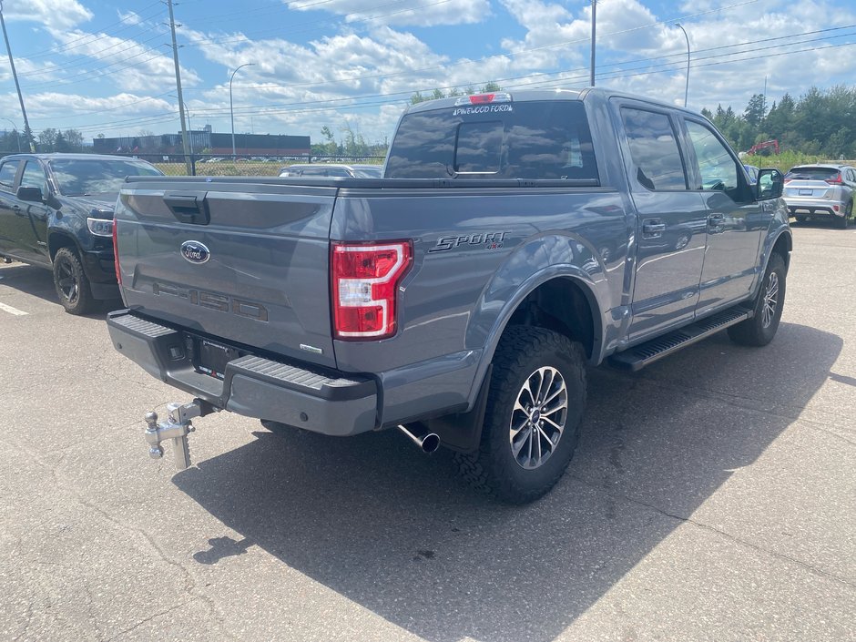 Ford F-150 XLT 4X4 2019-3