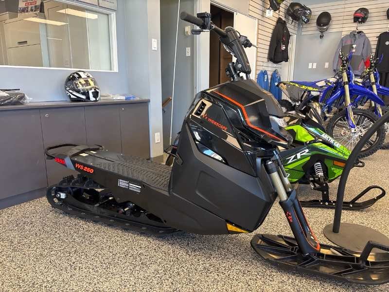 Arctic Cat WIDESCAPE 250  2024