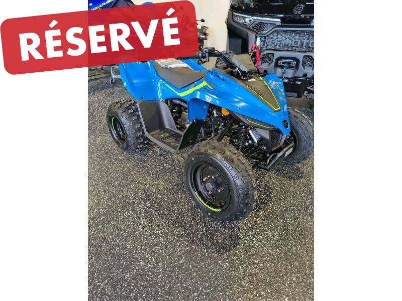 2026 CF Moto CFORCE 110 CLASSIC