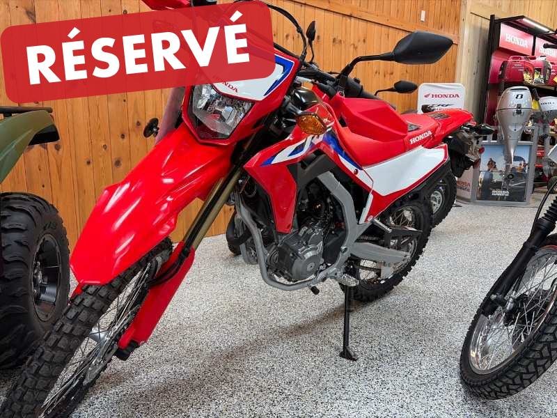 Honda ENDURO MOTO CRF300L RALLY  2024