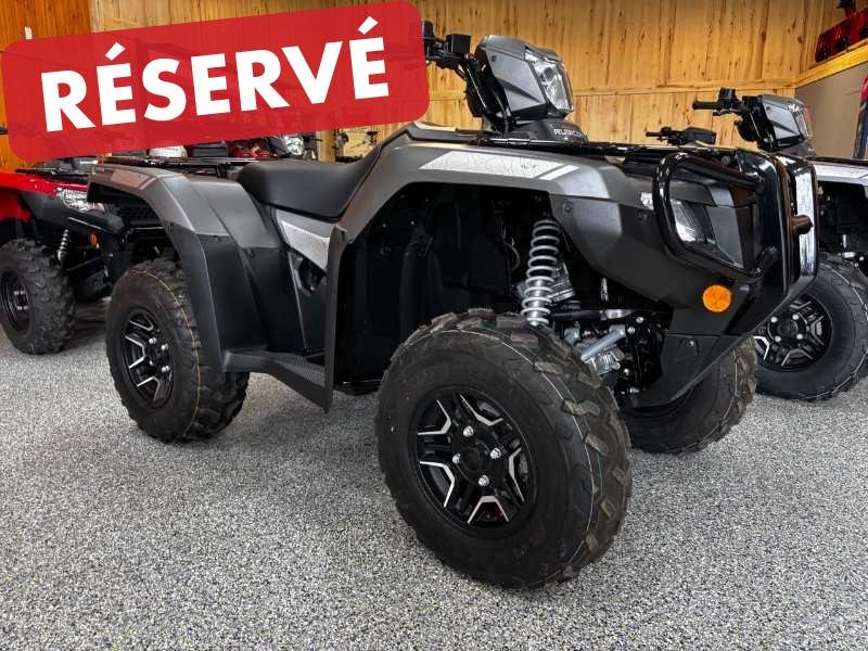 2025 Honda RUBICON 520 DCT IRS EPS DELUXE