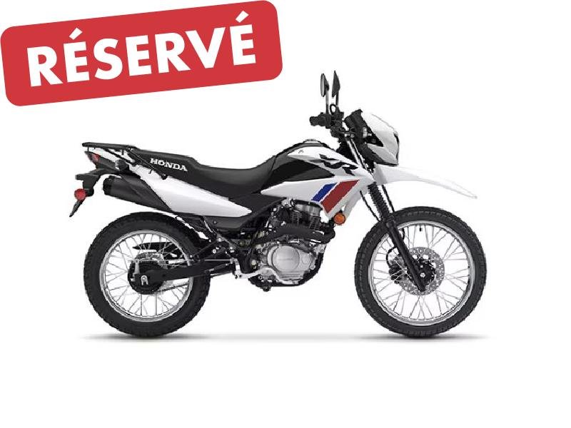 Honda XR150LS  2025