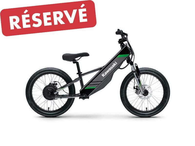 2025 Kawasaki ELEKTRODE 20