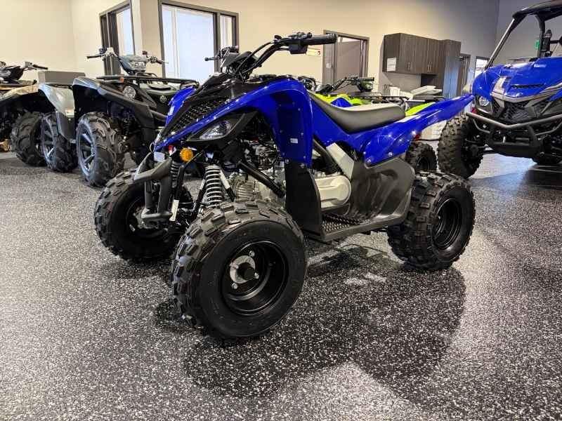 2026 Yamaha Raptor 110