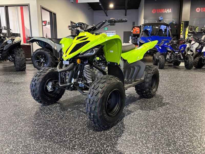 2026 Yamaha Raptor 110
