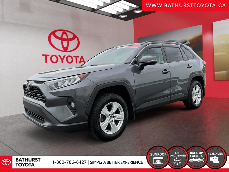 2020 Toyota RAV4 XLE in Bathurst, New Brunswick