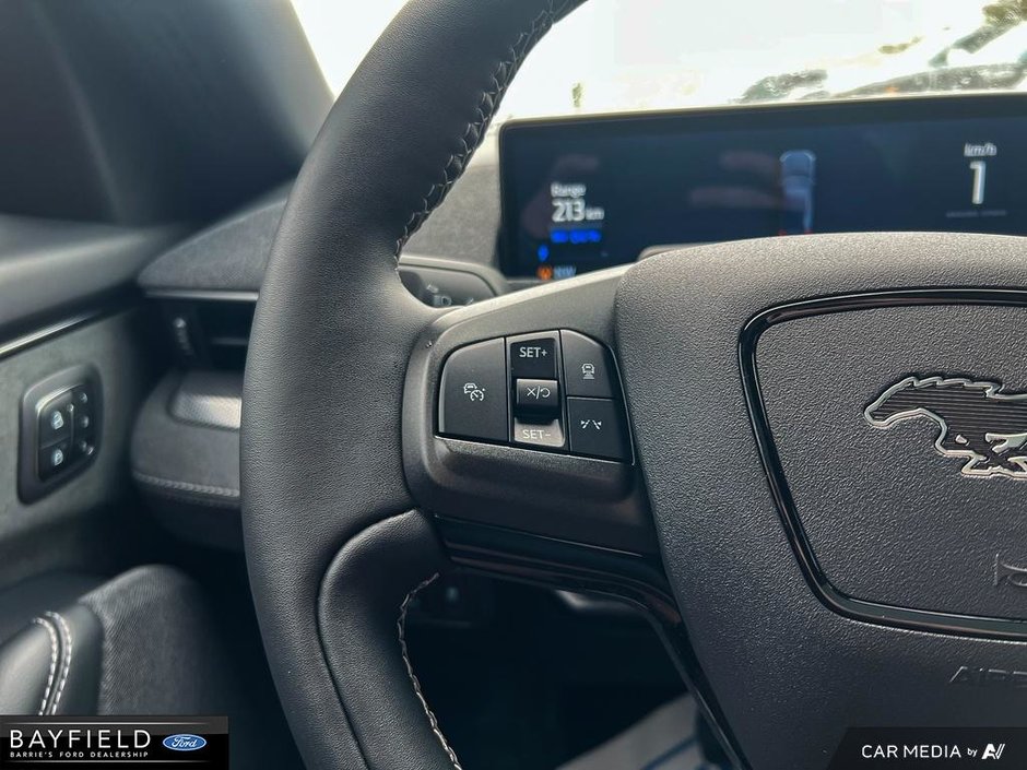 2022 Ford Mustang Mach-E GT Performance Edition-15