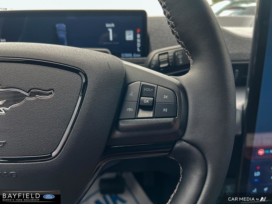 2022 Ford Mustang Mach-E GT Performance Edition-16