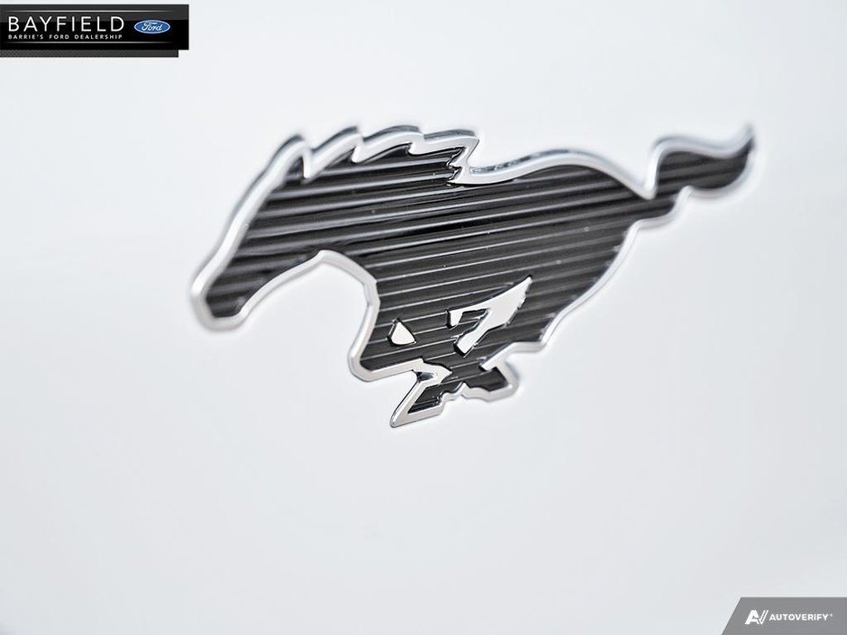 2023 Ford Mustang Mach-E SELECT-8
