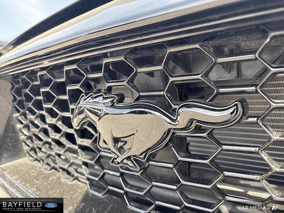 2024 Ford Mustang GT Premium-10