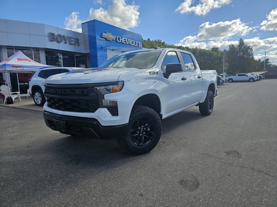 2024 Chevrolet Silverado 1500 in Pickering, Ontario - 1 - w320h240px