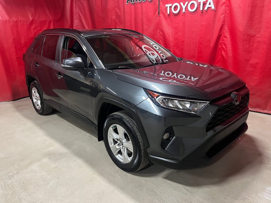 2019  RAV4 XLE in Amos, Quebec