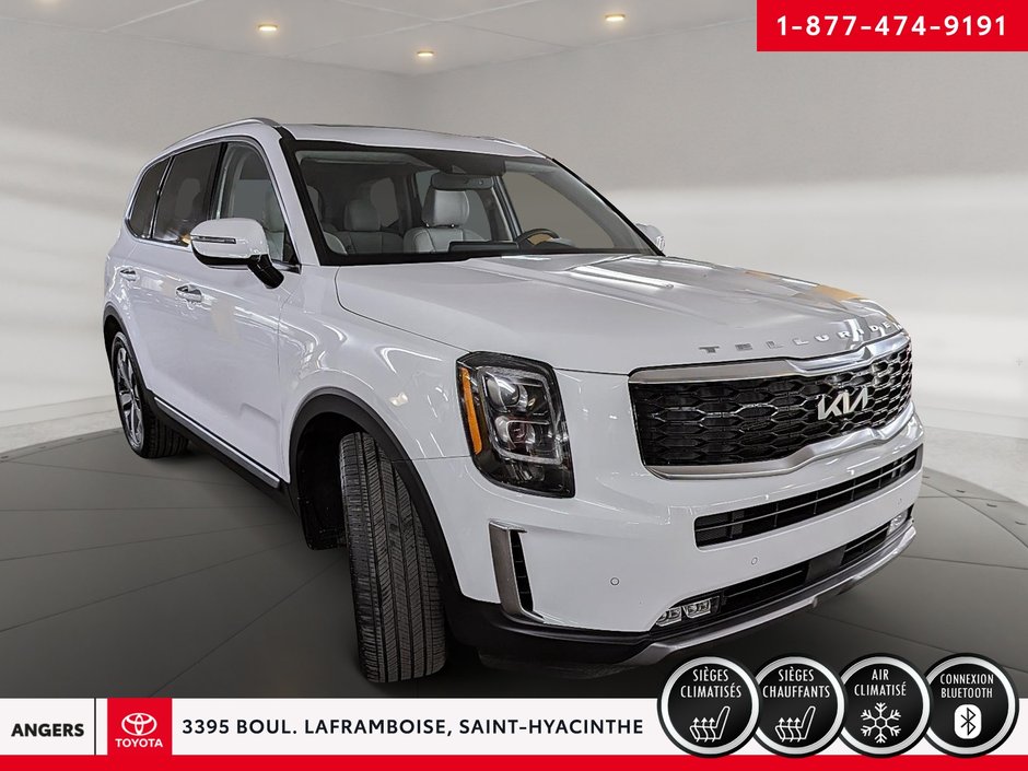 2022 Kia Telluride SX LIMITED-4