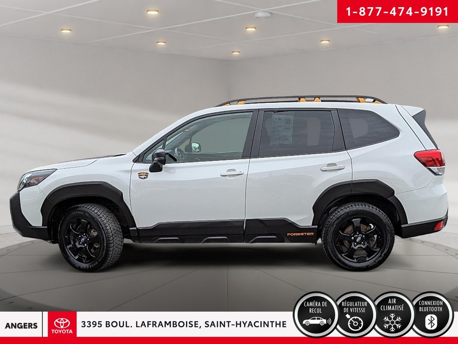 Subaru Forester Wilderness 2022-7