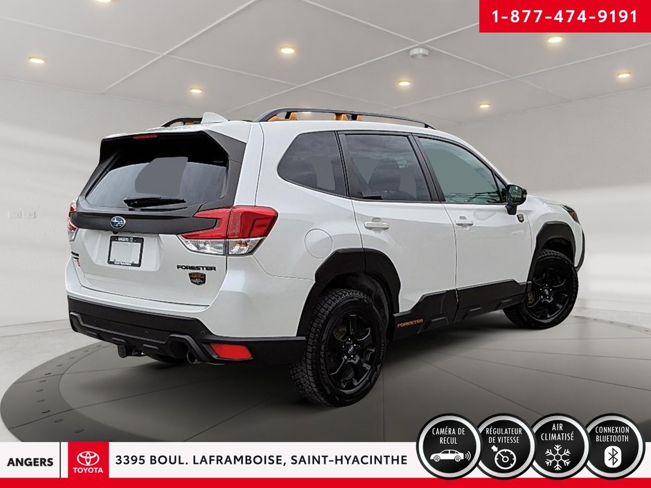 Subaru Forester Wilderness 2022-4