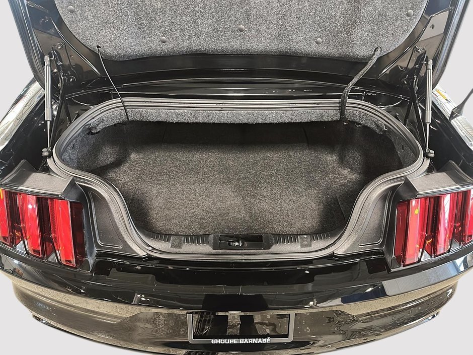 2017 Ford Mustang V6-5