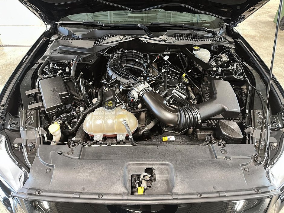 2017 Ford Mustang V6-12