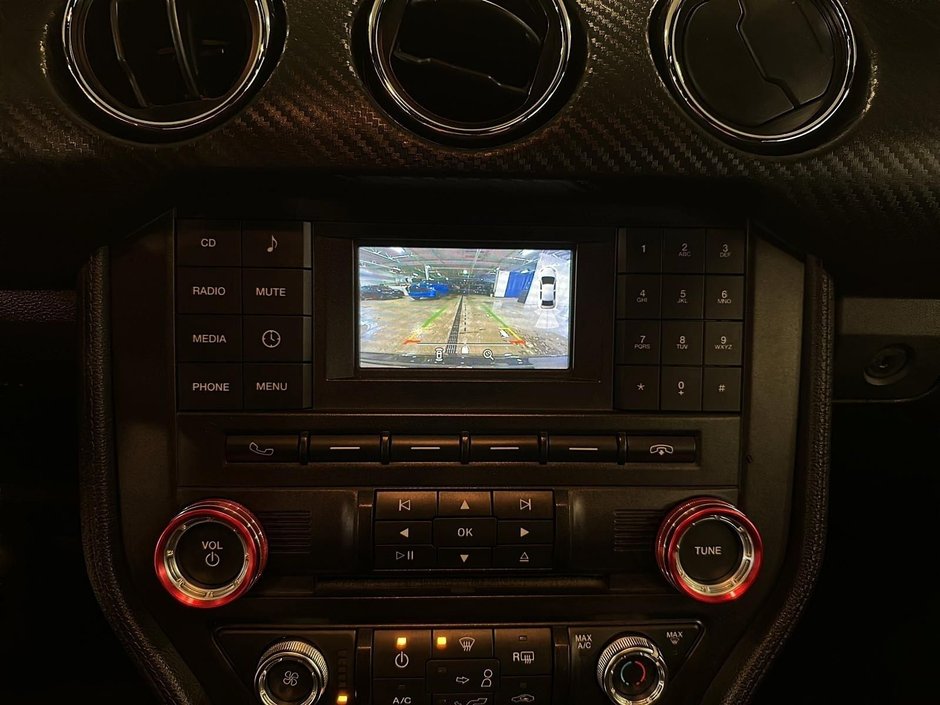 2017 Ford Mustang V6-14