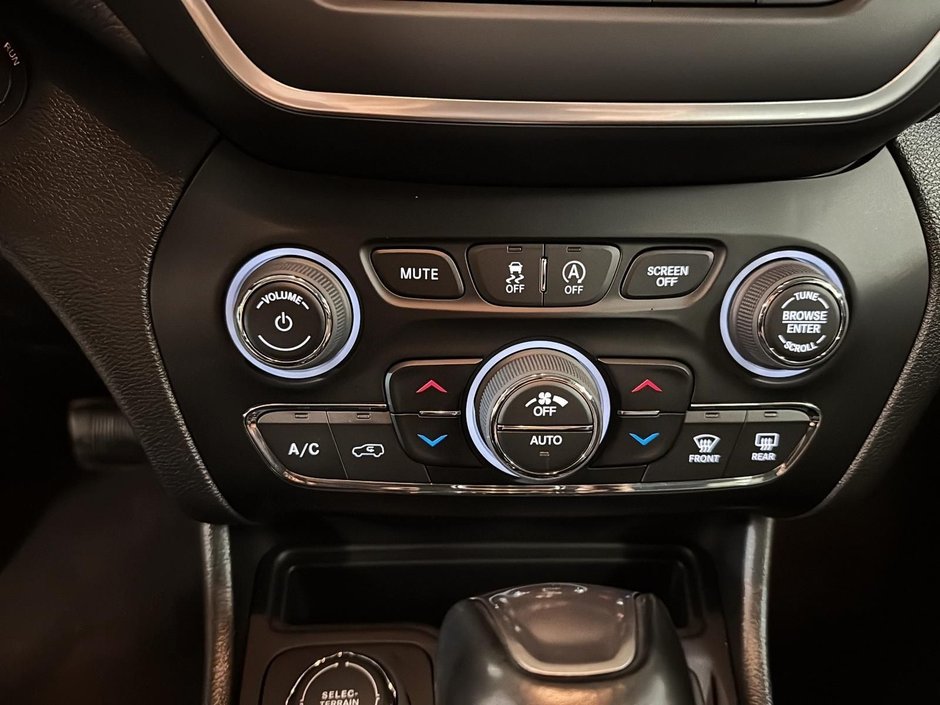 Jeep Cherokee Altitude 2023-13