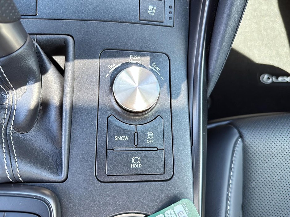 2023 Lexus IS 300-15