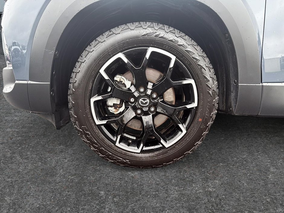 2024 Mazda CX-50 GT TURBO - MERIDIAN EDITION-6