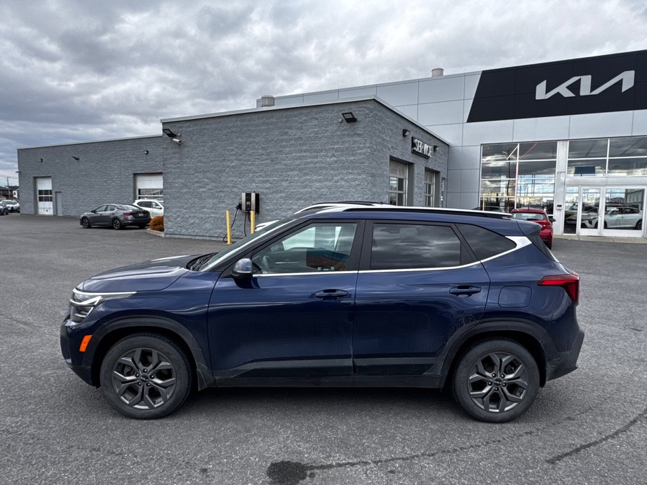 Kia Seltos EX 2024 AWD + Toit ouvrant + Cuir + Camera de recul