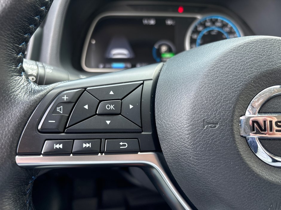 2019 Nissan Leaf SV NAVIGATION-14