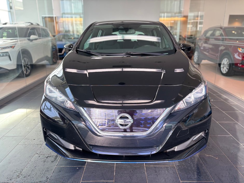 2020 Nissan Leaf SV PLUS-1