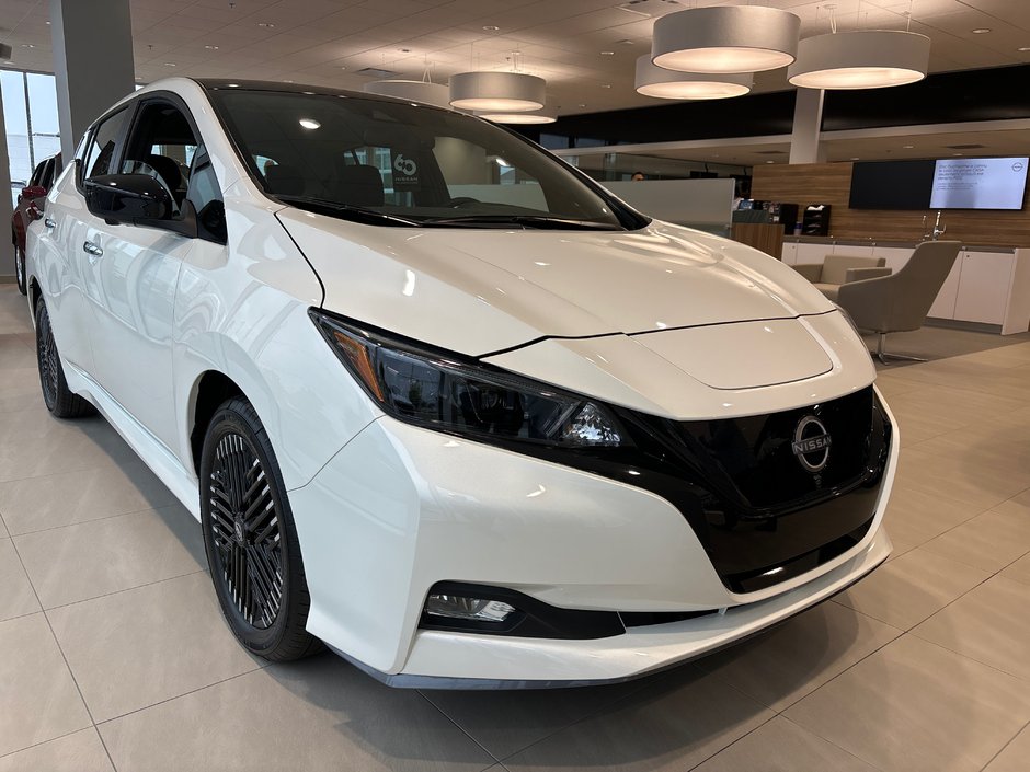 2025 Nissan LEAF SV PLUS-3